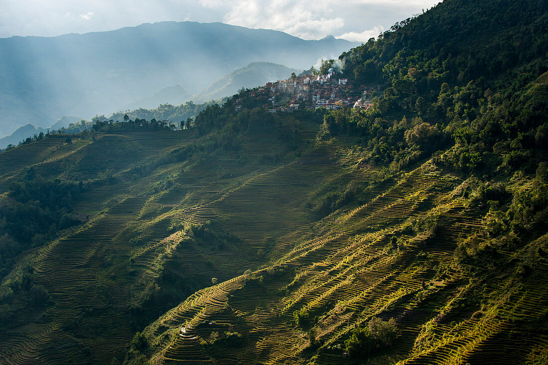 Die terrassenförmige Reisfelder von Yuanyang in China wurden über Hunderte von Jahren von Hani angelegt, Provinz Yunnan, China, Asien