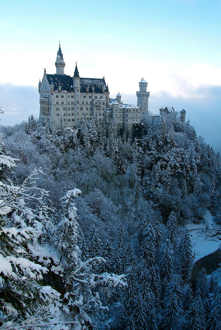 Schloss Neuschwanstein im Winter, Schwangau, Allgau, Bayern, Deutschland, Europa