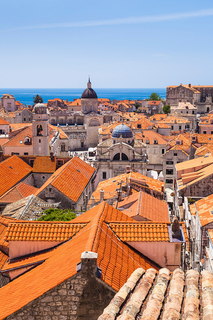Terracotta tile rooftop view of Dubrovnik Old Town, UNESCO World Heritage Site, Dubrovnik, Dalmatian Coast, Croatia, Europe