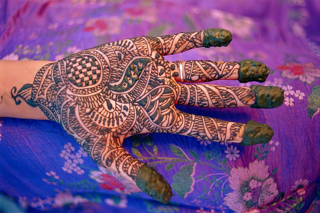 Hand decorated with design in henna, Rajasthan, India *** Local Caption ***  