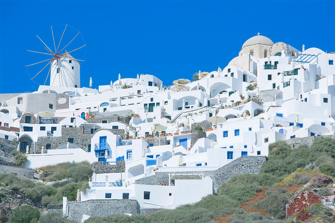 Stuckhäuser und Windmühle, Oia, Santorini, Kykladen, Griechische Inseln, Griechenland, Europa