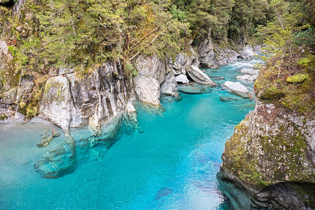 Die Blue Pools von Haast Pass, Mount Aspiring National Park, UNESCO-Weltkulturerbe, Westküste, Südinsel, Neuseeland, Pazifik