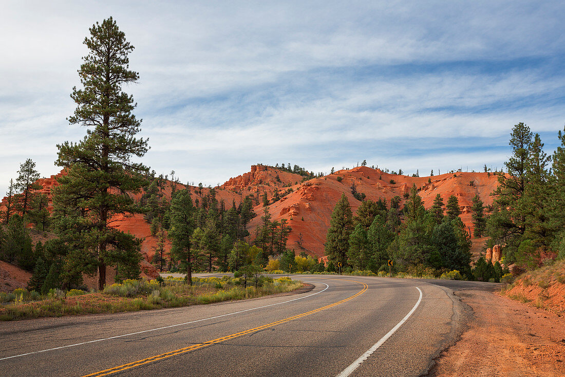 Rock with road at Red Canyon in Utah, USA