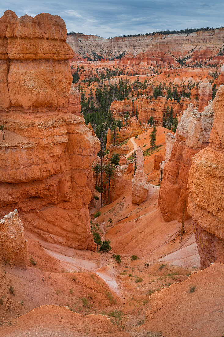 Rock towers hoodos in Bryce Canyon National Park, USA