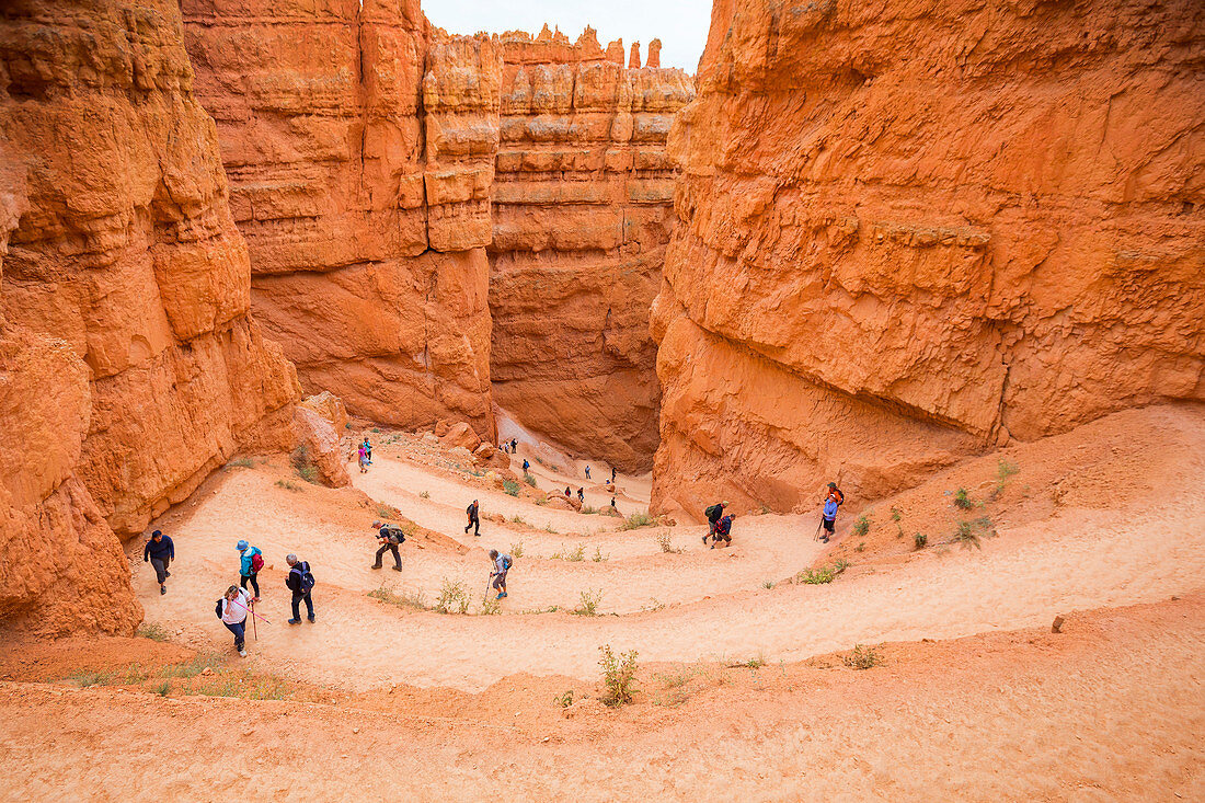 Tourists at Wall Street Canyon in Bryce Canyon National Park, USA