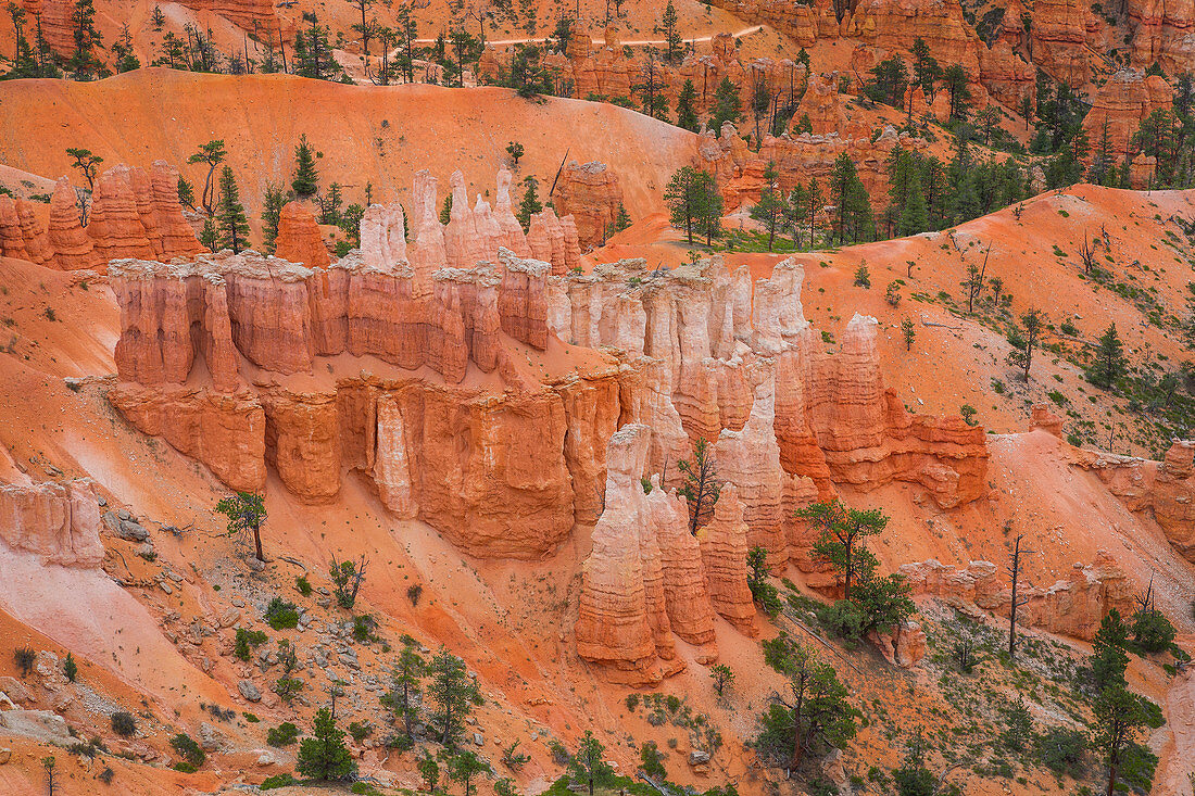 Rock towers hoodos in Bryce Canyon National Park, USA