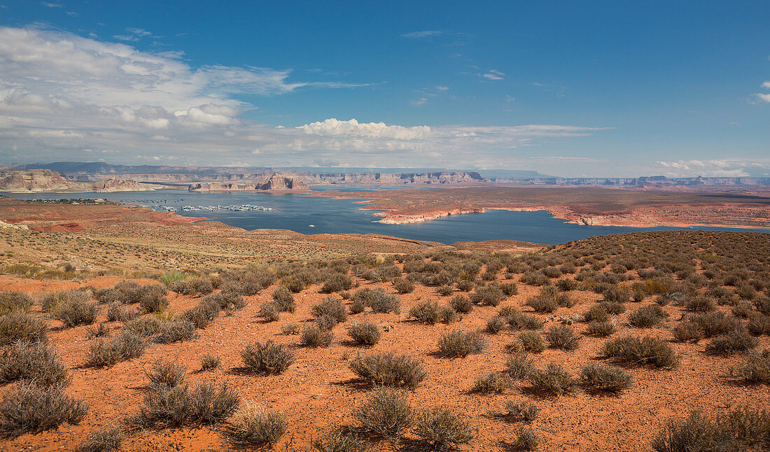 Blick auf die Wahweap Marina am Lake Powell bei Page, Arizona, USA