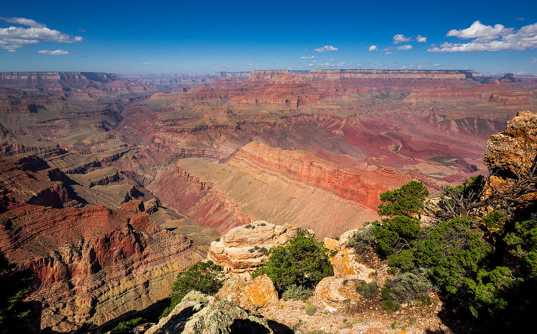 Rote Schluchten und grüne Vegetation des Grand Canyon bei Sonne mit blauem Himmel, Arizona, USA