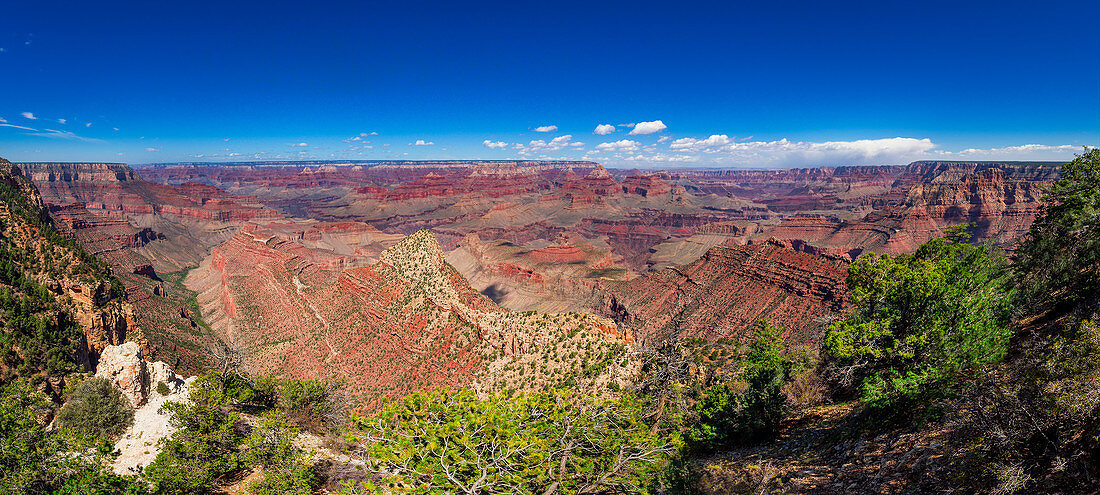 Rote Schluchten des Grand Canyon bei Sonne mit blauem Himmel, USA\n