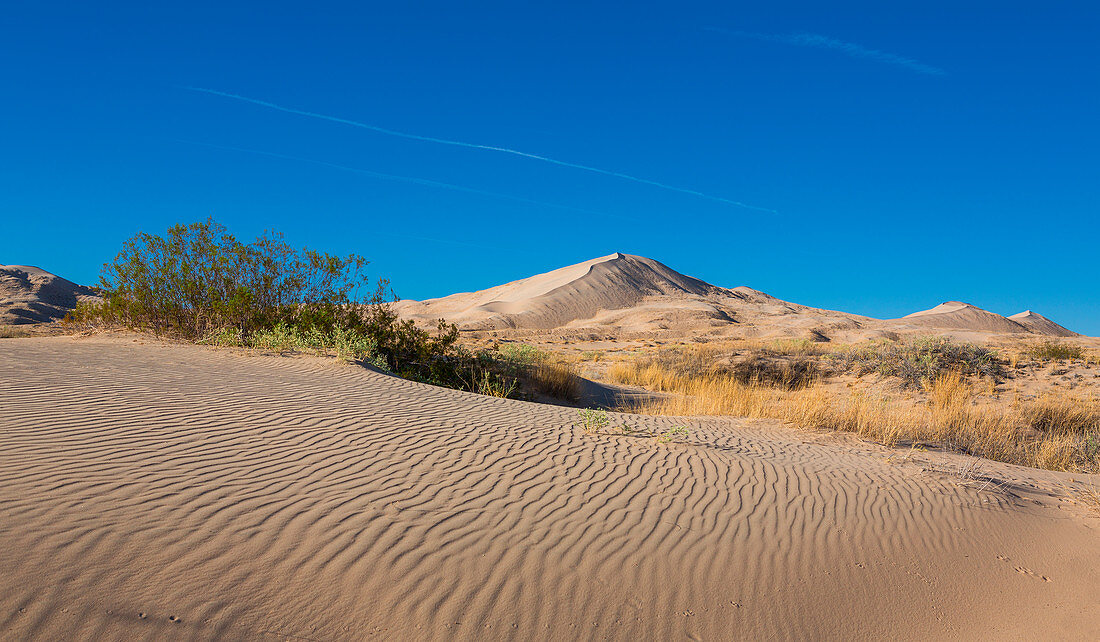 Sanddünen von Kelso im Mojave Nationalpark bei blauem Himmel, Kalifornien, USA
