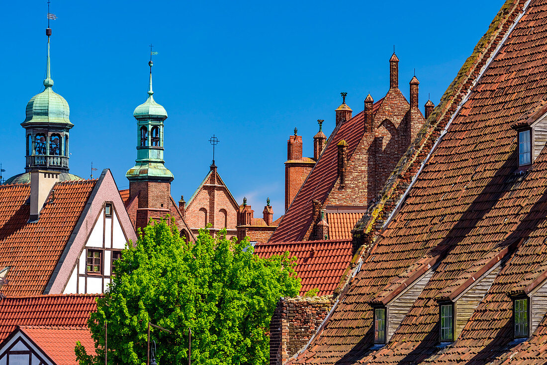 Dächer und Türme rund um den Heveliusplatz, Danzig, Hauptstadt, Polen, Europa