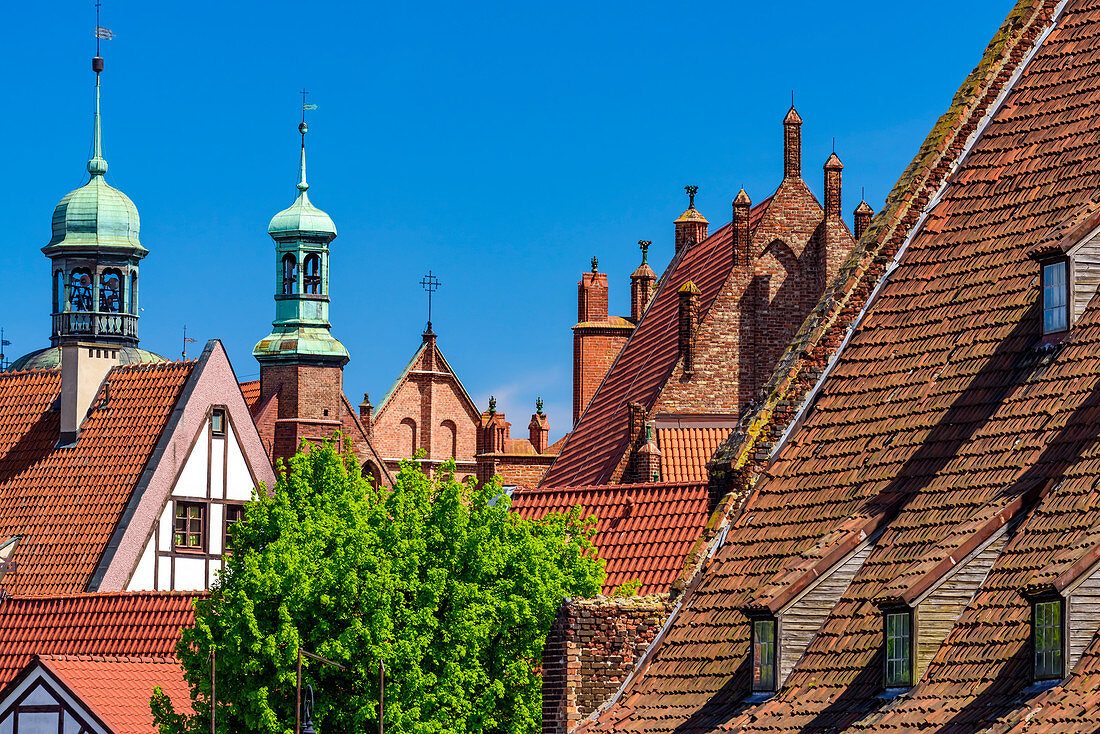 Roofs and towers around Hevelius Square. Gdansk, Main City, Pomorze region, Pomorskie voivodeship, Poland, Europe