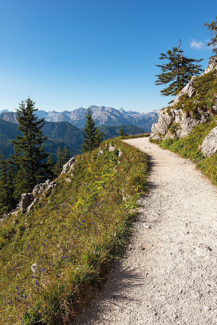 Path on Jenner, Berchtesgaden National Park, Berchtesgadener Land, Upper Bavaria, Bavaria, Germany, Europe
