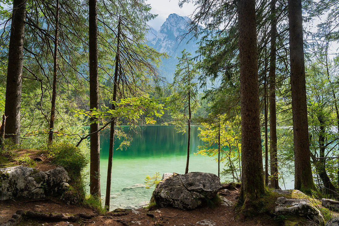Berchtesgaden National Park, Berchtesgadener Land, Upper Bavaria, Bavaria, Germany, Europe