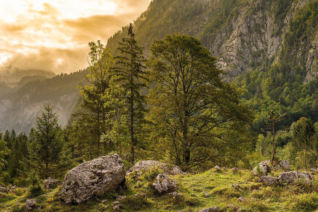 Idyllic landscape on Königssee near Salet, Berchtesgaden National Park, Berchtesgadener Land, Upper Bavaria, Bavaria, Germany, Europe