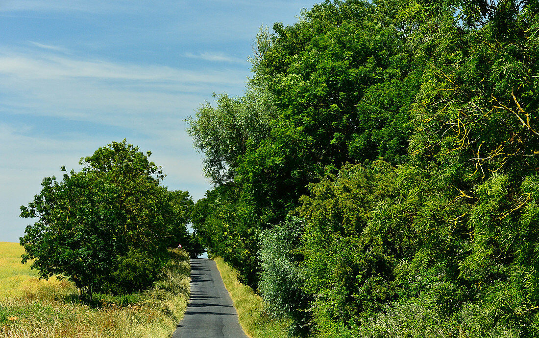 Ein einsamer Weg zwischen den Feldern bei Branston, Lincolnshire, England
