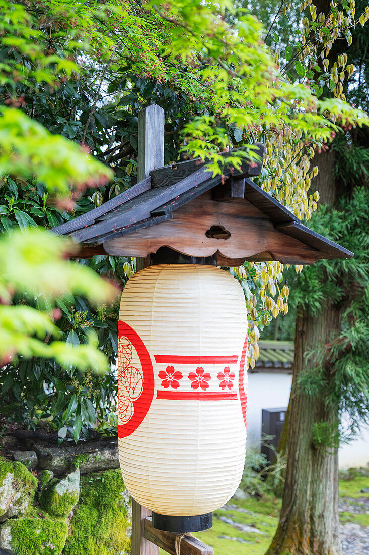 Paper lantern and maples trees, Kyoto, Japan, Asia