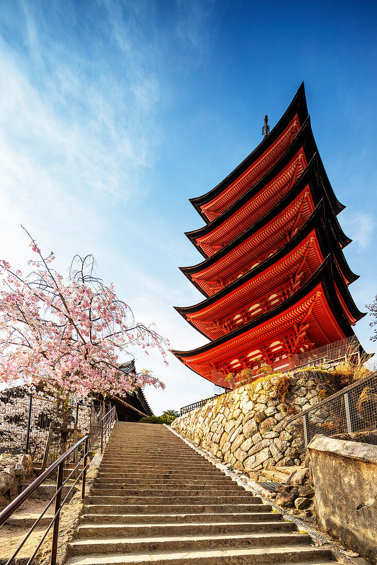 Kirschblüte in der fünfstöckigen Komyoin Pagode, UNESCO-Weltkulturerbe, Insel Miyajima, Präfektur Hiroshima, Honshu, Japan, Asien
