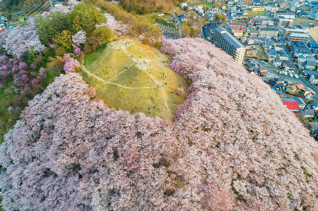 Kirschblüte bei Koboyama, Matsumoto, Präfektur Nagano, Honshu, Japan, Asien