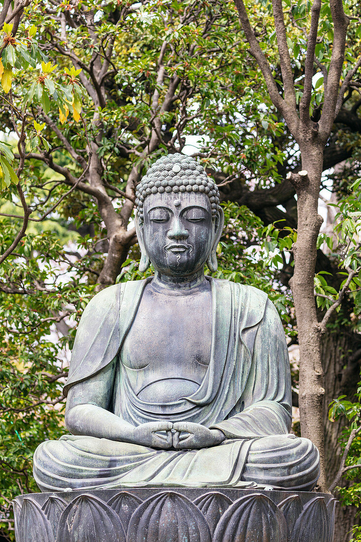 Buddha statue, Sensoji Temple, Asakusa, Tokyo, Japan, Asia