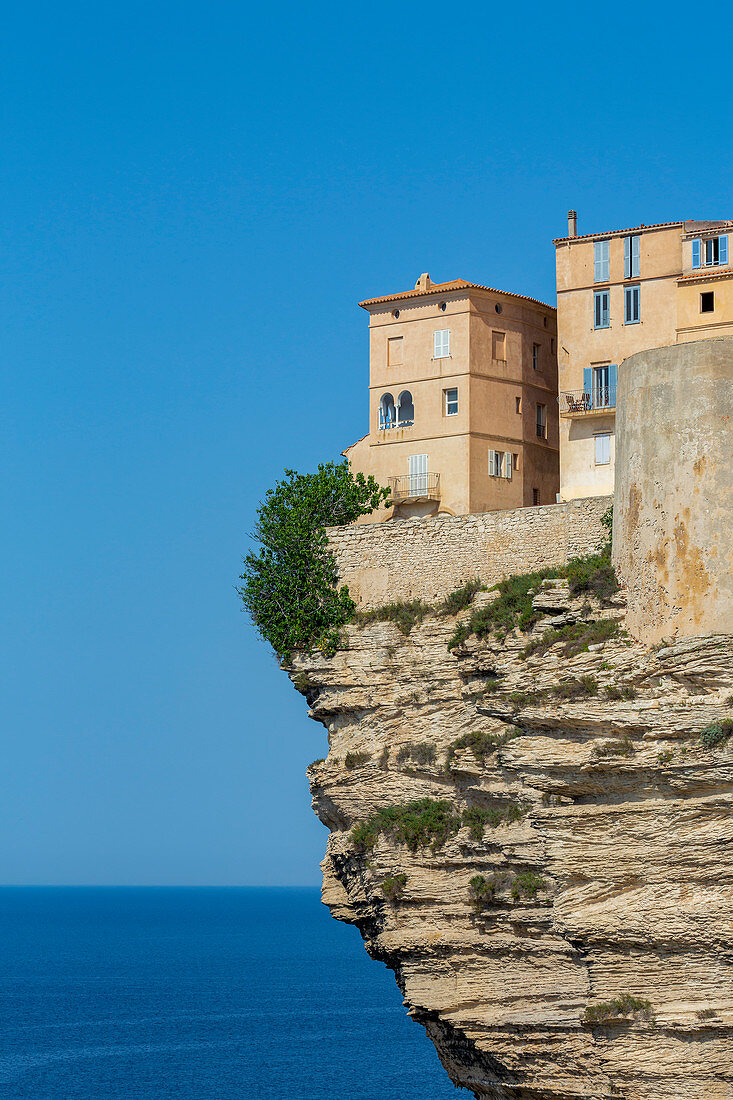 Die Zitadelle und Altstadt von Bonifacio auf schroffen Klippen, Bonifacio, Korsika, Frankreich, Mittelmeer, Europa