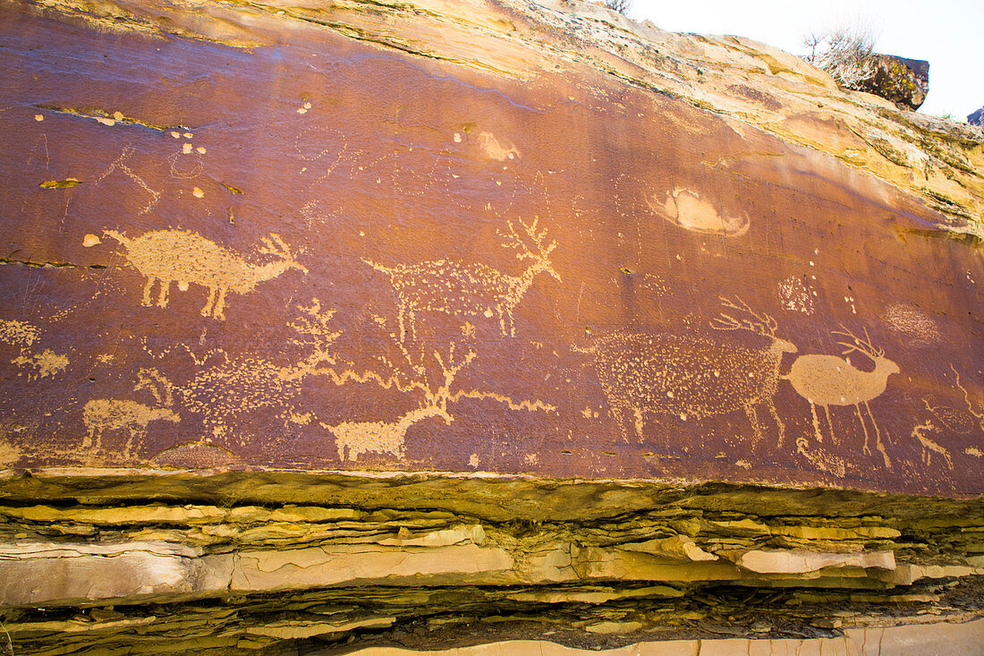 Nofretete Petroglyphen, Gray Canyon, nördlich von Green River, Utah, Vereinigte Staaten von Amerika, Nordamerika