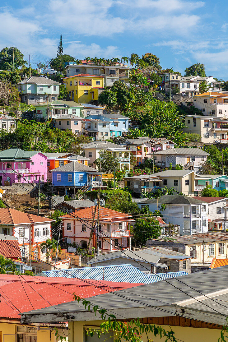 View of colourful houses that overlook the Carnarge of St. George's, Grenada, Windward Islands, West Indies, Caribbean, Central America