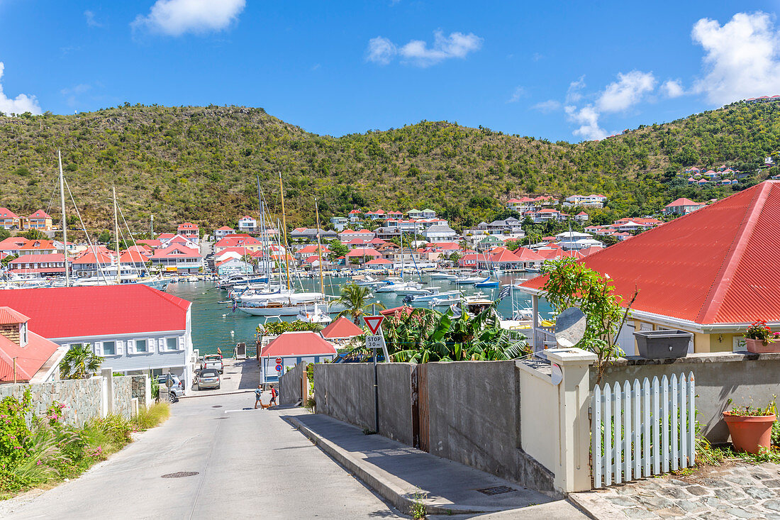 Elevated view of harbour, Gustavia, St. Barthelemy (St. Barts) (St. Barth), West Indies, Caribbean, Central America