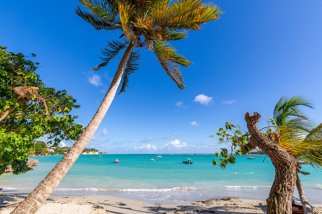 La Datcha Beach, Pointe-a-Pitre, Guadeloupe, Französische Antillen, Westindische Inseln, Karibik, Mittelamerika