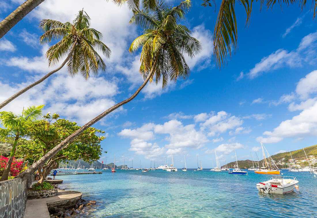 Sailing boats anchoring in Port Elizabeth, Admiralty Bay, Bequia, The Grenadines, St. Vincent and the Grenadines, Windward Islands, West Indies, Caribbean, Central America