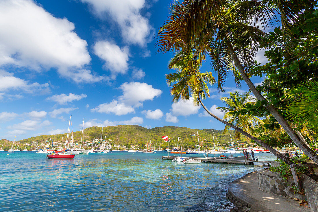 Boote in Port Elizabeth, Admiralty Bay, Bequia, The Grenadines, St. Vincent und The Grenadines, Windward Islands, Westindische Inseln, Karibik, Mittelamerika