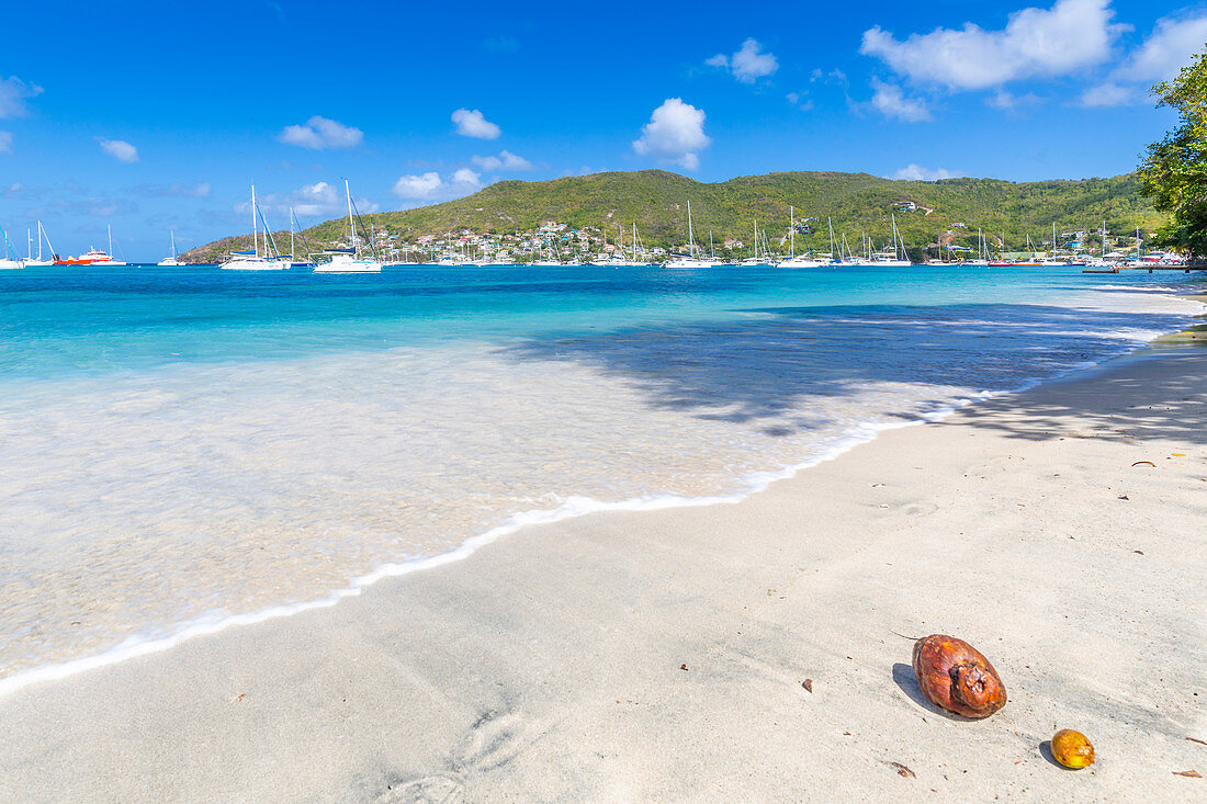 Beach at Port Elizabeth, Admiralty Bay, Bequia, The Grenadines, St. Vincent and the Grenadines, Windward Islands, West Indies, Caribbean, Central America