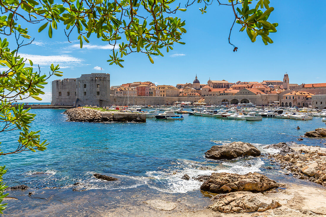 Hafenansicht der Altstadt von Dubrovnik, UNESCO-Weltkulturerbe, Adria, Dubrovnik, Dalmatien, Kroatien, Europa