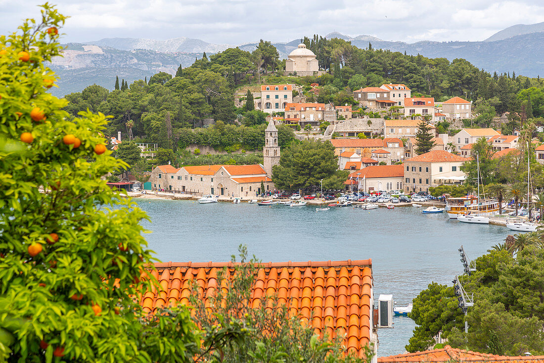 View of town from elevated position, Cavtat on the Adriatic Sea, Cavtat, Dubrovnik Riviera, Croatia, Europe
