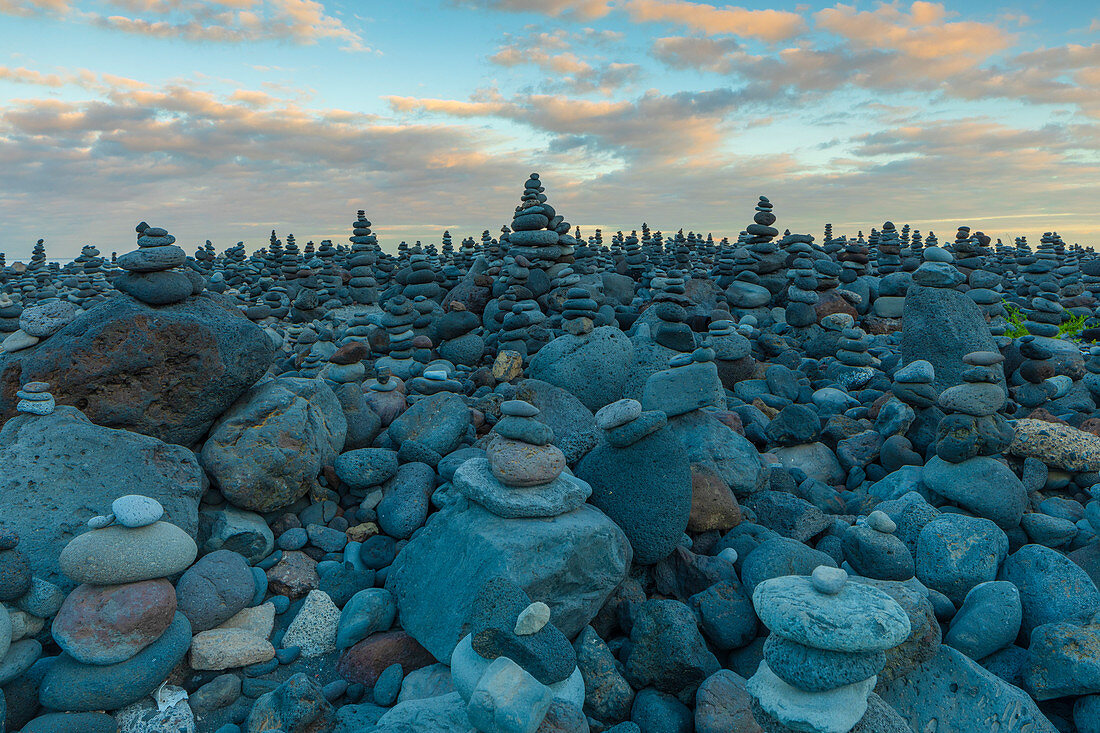 Steinpräsentationen am Playa Jardin, Puerto de la Cruz, Teneriffa, Kanarische Inseln, Spanien, Atlantischer Ozean, Europa