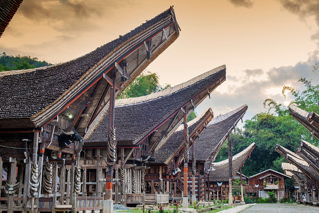 Ein Reisbauerndorf mit traditionellen Torajan Tongkonan Langhäusern, Tana Toraja, Sulawesi, Indonesien, Südostasien, Asien