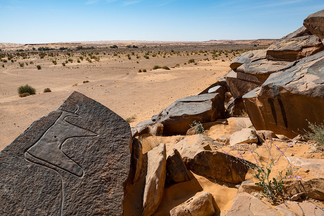 Prähistorische Felszeichnungen in der Nähe der Oase von Taghit, Westalgerien, Nordafrika, Afrika