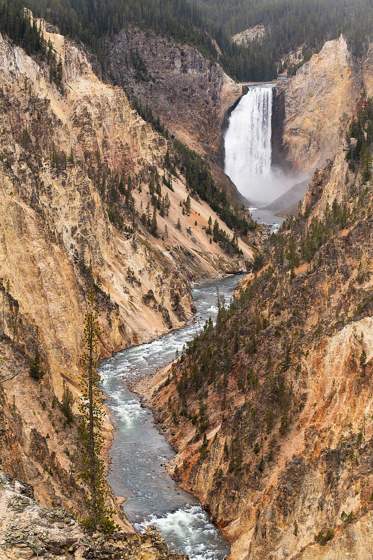 Yellowstone National Park, UNESCO-Weltkulturerbe, Wyoming, Vereinigte Staaten von Amerika, Nordamerika