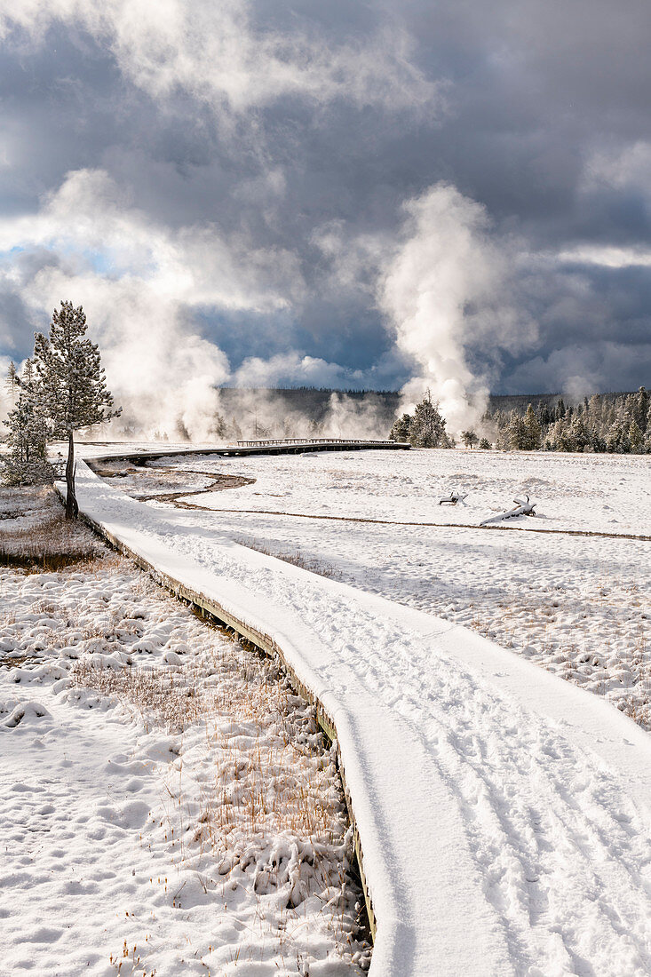 Yellowstone National Park, UNESCO World Heritage Site, Wyoming, United States of America, North America