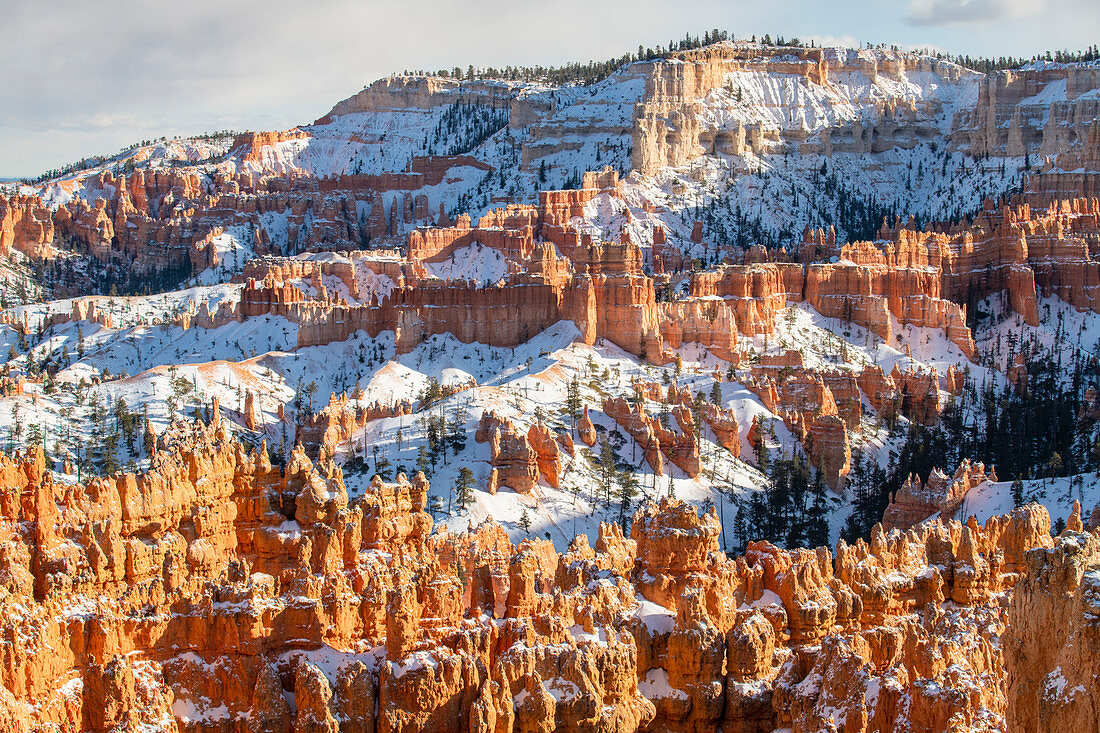 Bryce Canyon National Park, Utah, United States of America, North America