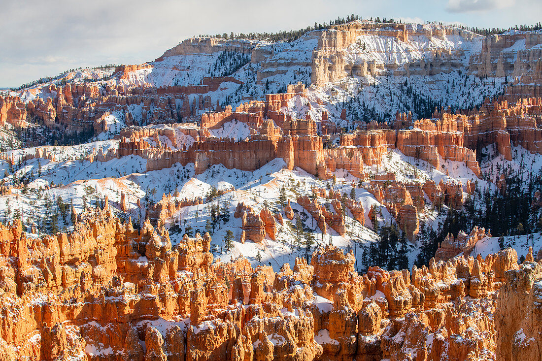 Bryce Canyon National Park, Utah, Vereinigte Staaten von Amerika, Nordamerika