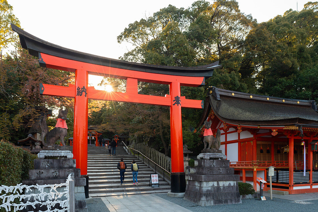 Fushimi Inari Taisha Schrein und Torii Tore, Kyoto, Japan, Asien