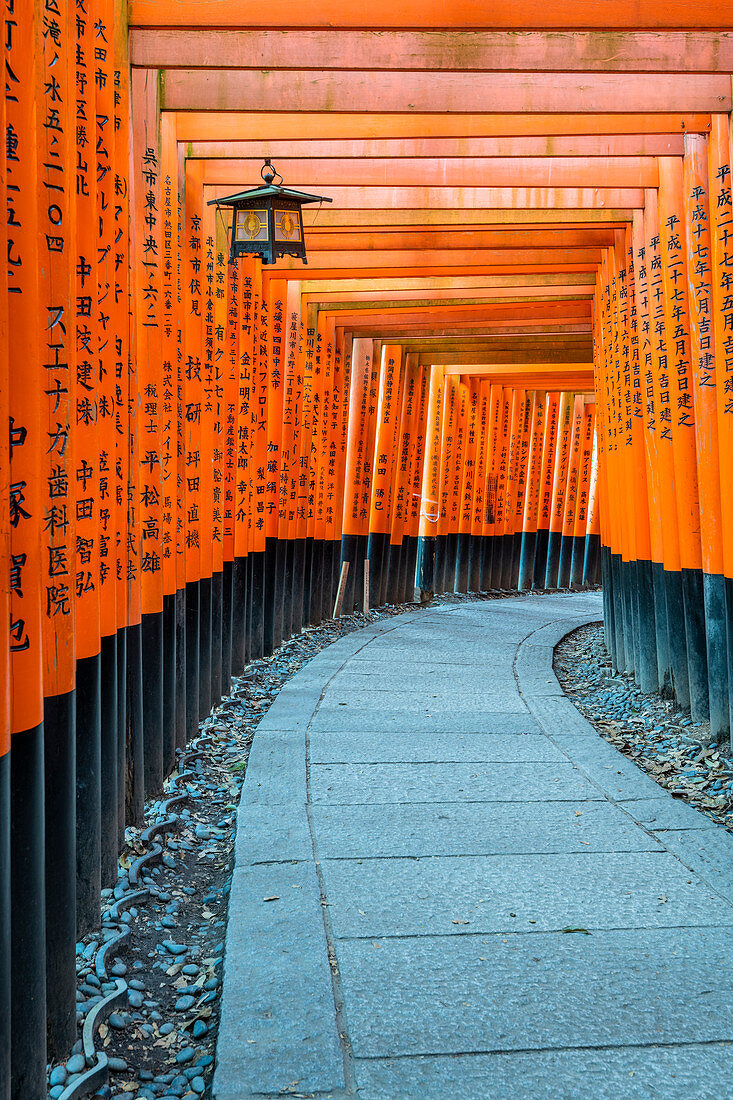 Fushimi Inari Taisha shrine and torii gates, Kyoto, Japan, Asia