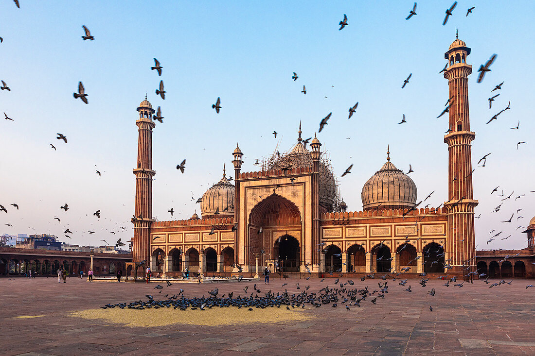 Early morning in Jama Masjid, Old Delhi, India, Asia