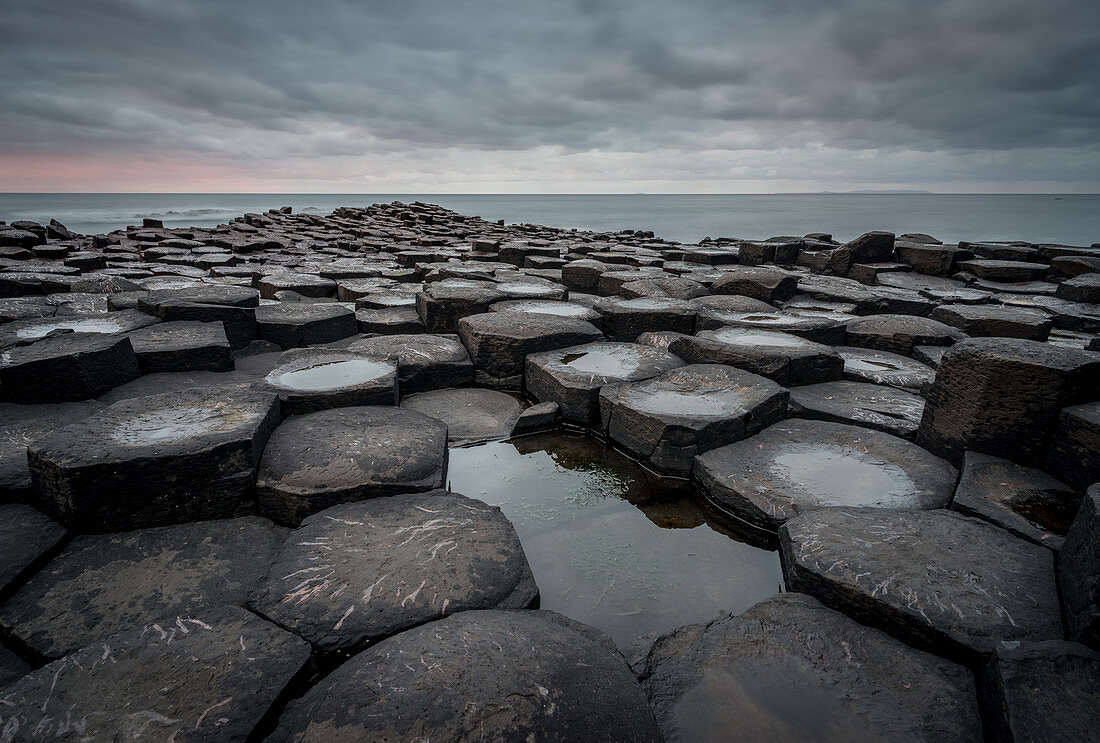 Basalt columns of the Giant's Causeway at sunset, UNESCO World Heritage Site, County Antrim, Northern Ireland, United Kingdom, Europe