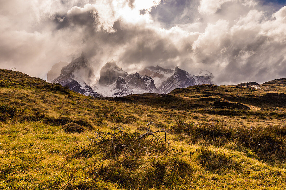 Schöne Landschaft in Torres del Paine Nationalpark, Patagonien, Chile, Südamerika