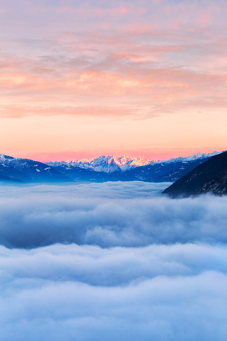 Sea of fog in Valtellina with Adamello group in the background at sunset, Valtellina, Lombardy, Italy, Europe