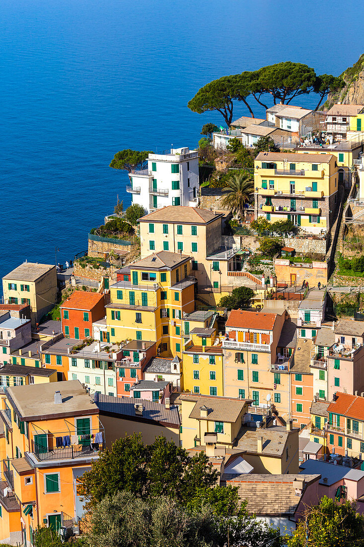Traditional houses of Riomaggiore, Cinque Terre, UNESCO World Heritage Site, Liguria, Italy, Europe