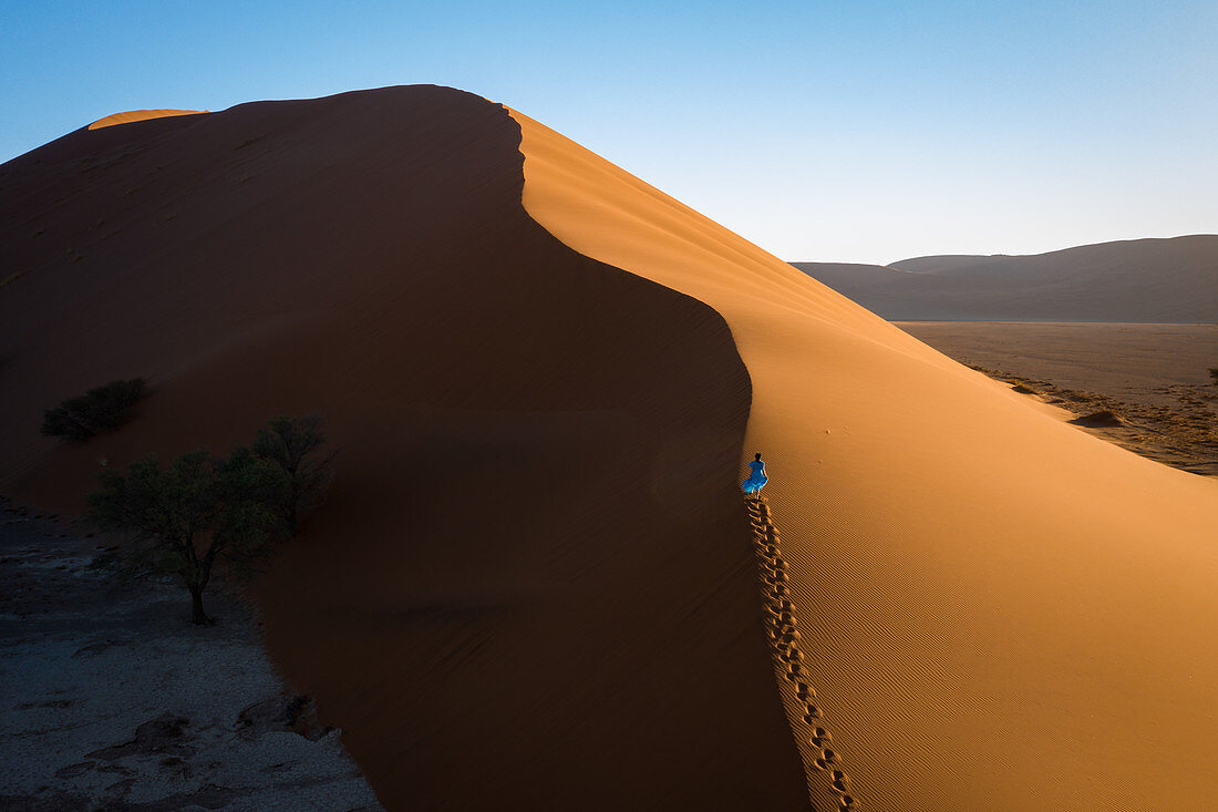 Drone shot of model Climbing Dune 13, Sossusvlei, Namibia, Africa