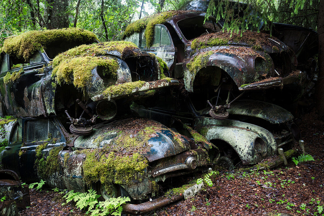 Bastnas Car Cemetery deep in the forests of the region of Varmland in Sweden, Scandinavia, Europe